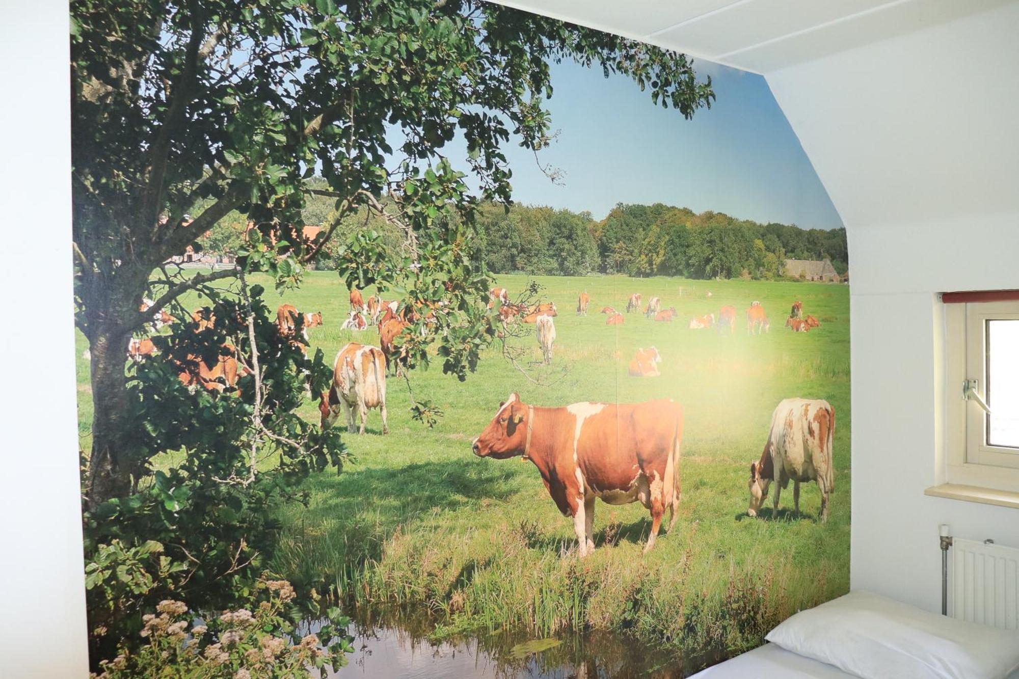 Vakantiehuis De Witte Bergen IJhorst 外观 照片