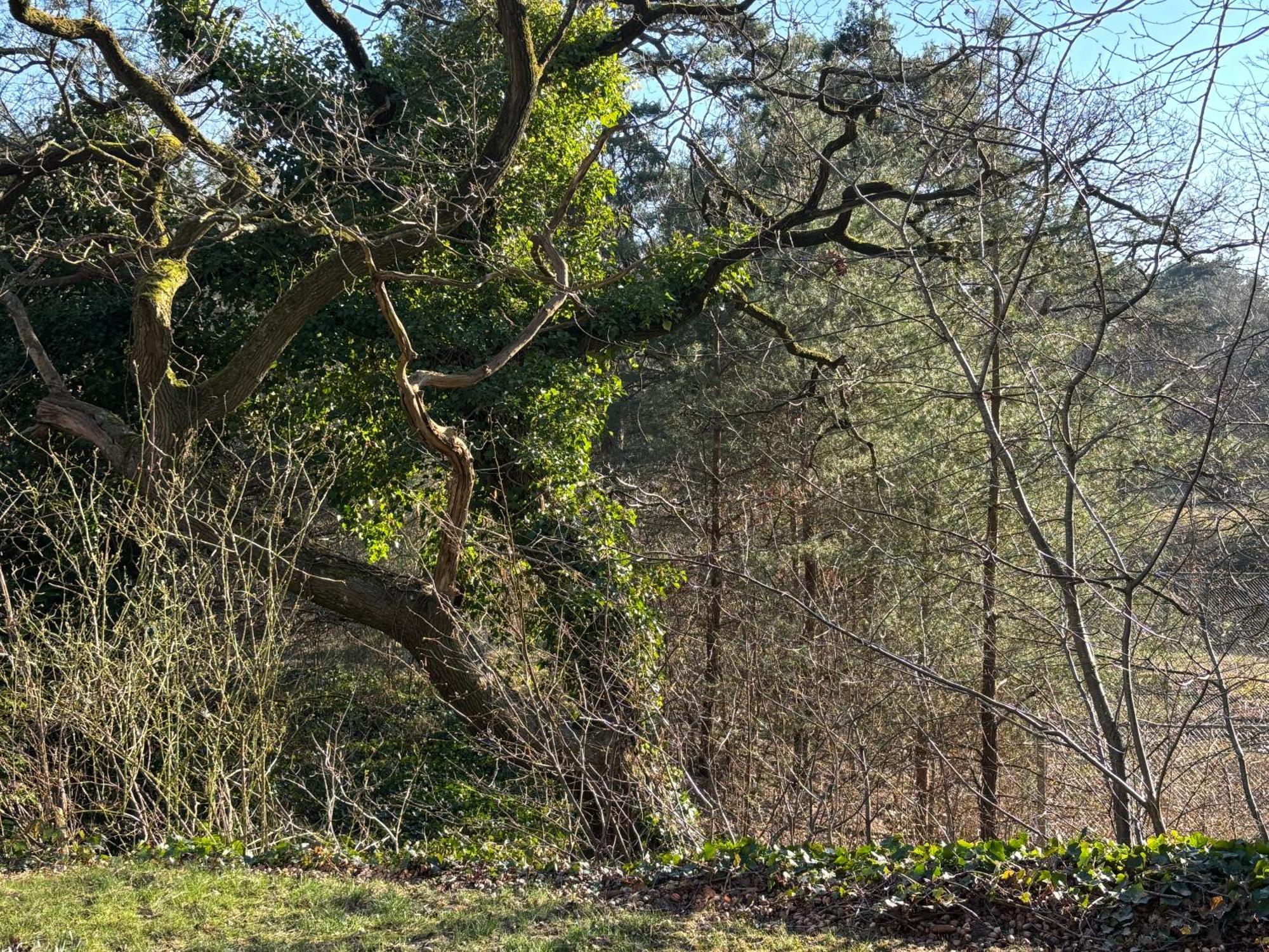 Vakantiehuis De Witte Bergen IJhorst 外观 照片